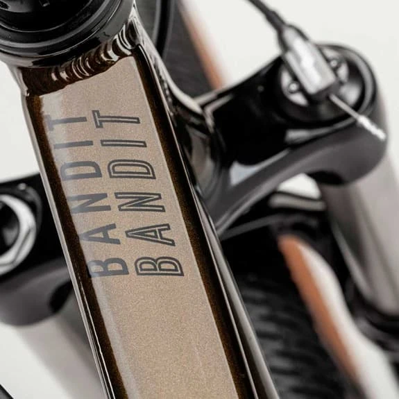 Vélo Conor - WRC BMX Bandit 26" 2023 Marron 3 Vélo Conor - WRC BMX Bandit 26" 2023 Marron – Image 3