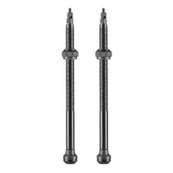 Jeu De Valves Schwalbe Tubeless 100 Mm (2 Unités)