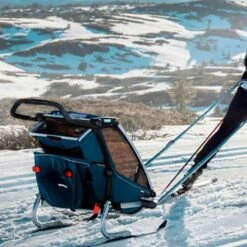 Remorque Thule Chariot Cross 2 Bleu Clair -Pro Vélo Soldes th10202024 003